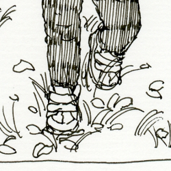 2021散歩をする次男