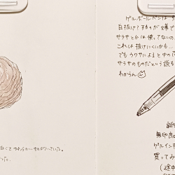 台湾のお菓子と無印のペン